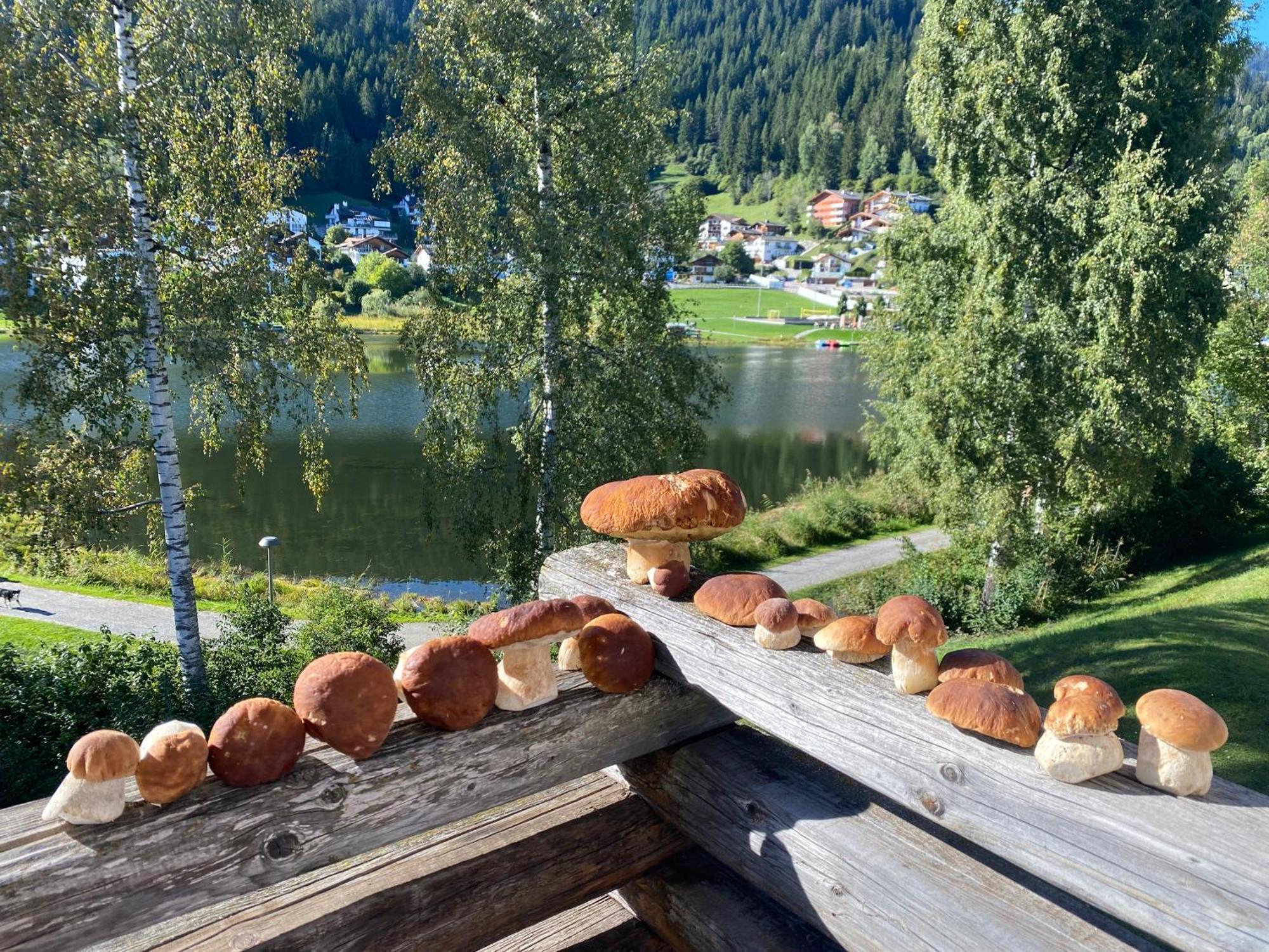 Casa Al Lag - Direkt Am Laaxersee エクステリア 写真